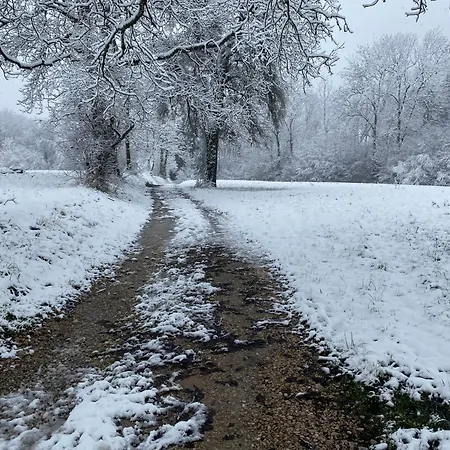 La Ferme D'auguste * Thorens-Glières