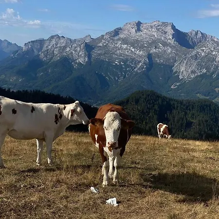 度假居 La Ferme D'auguste