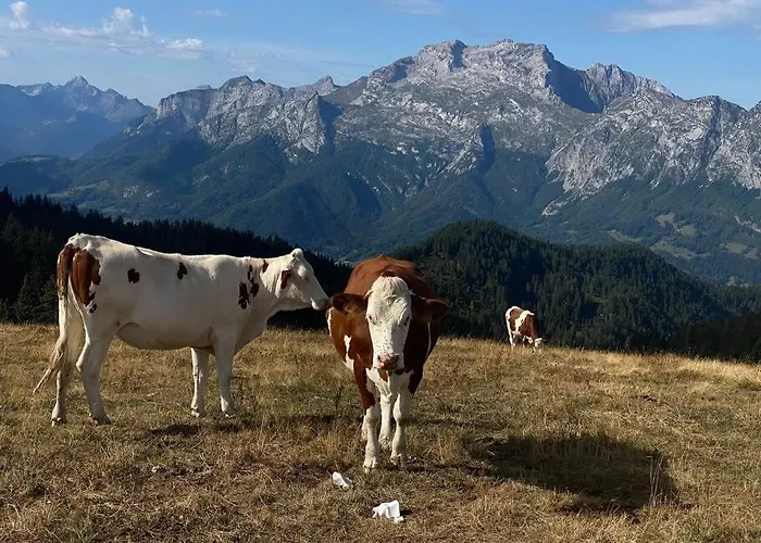 Ferienhaus La Ferme D'auguste